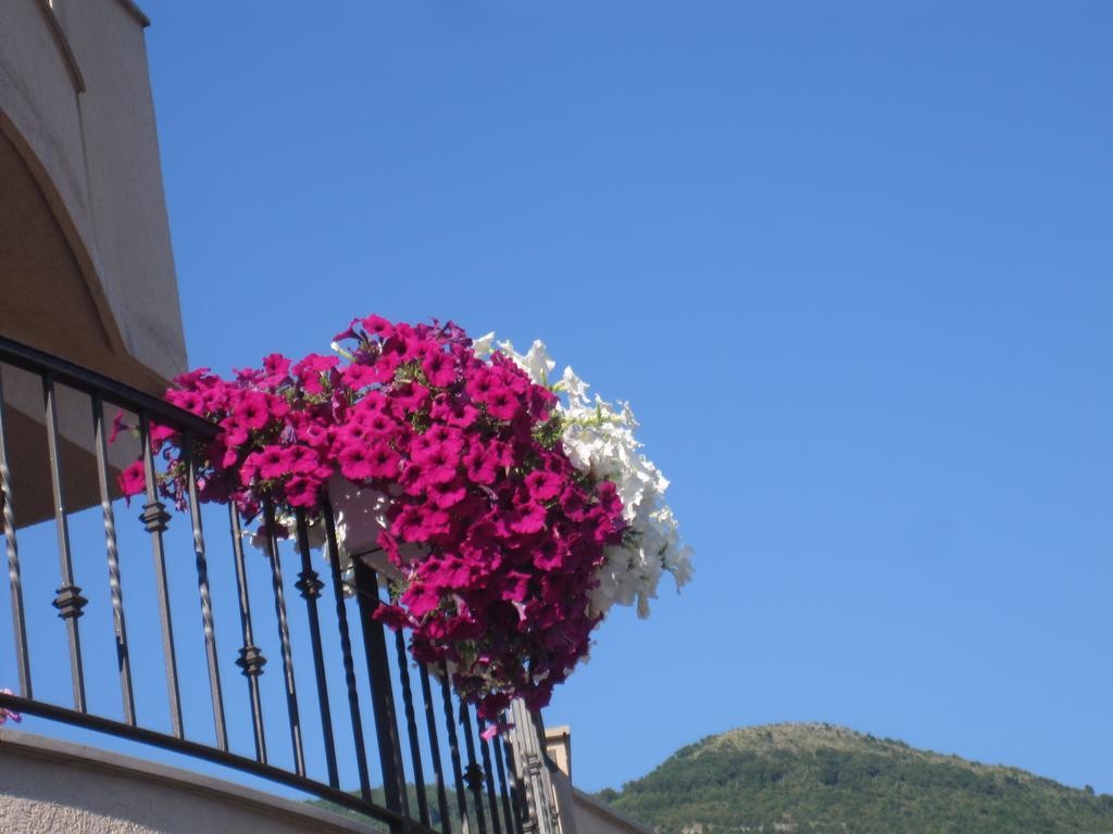 Apartments City Center Tivat Exteriér fotografie